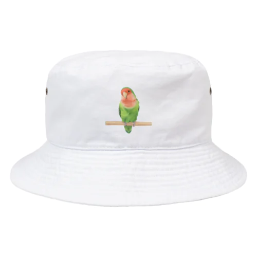 コザクラインコ Bucket Hat