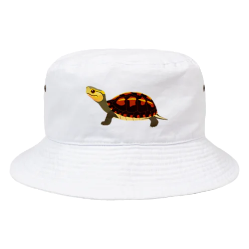 セマルハコガメ Bucket Hat