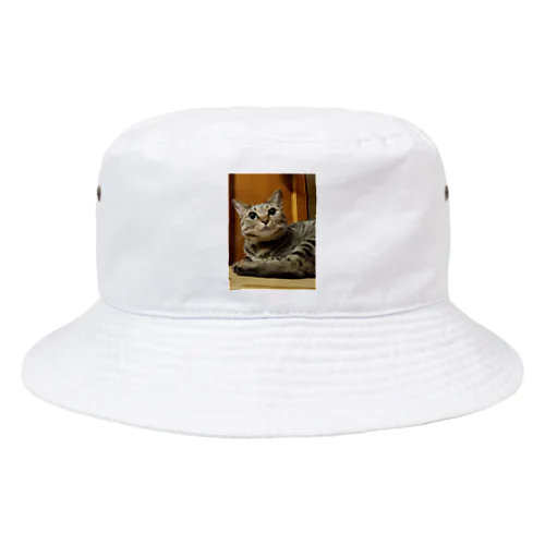 あざ猫さん Bucket Hat