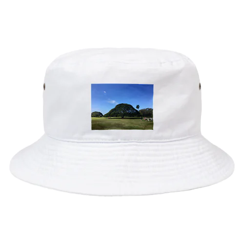 ハワイ　モンキーポッド Bucket Hat