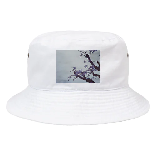 春　桜ハット Bucket Hat