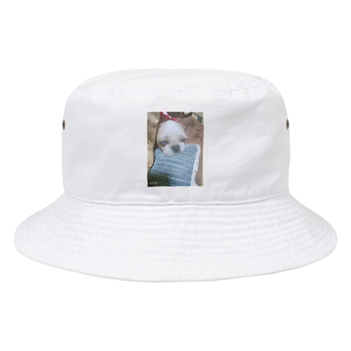 可愛いランちゃん Bucket Hat