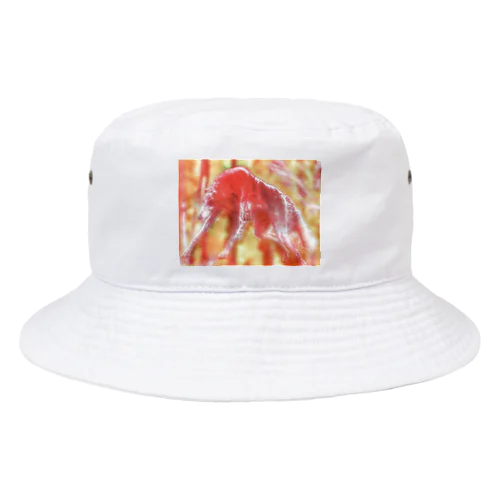 Spece-S- Bucket Hat