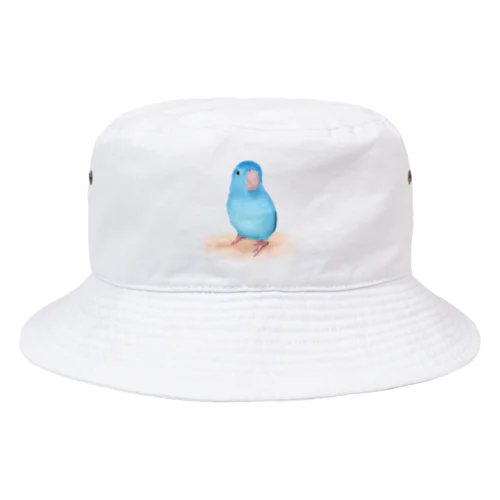 ブルーマメルリハ【まめるりはことり】 Bucket Hat