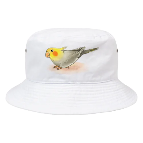 オカメインコ　レキ【まめるりはことり】 Bucket Hat