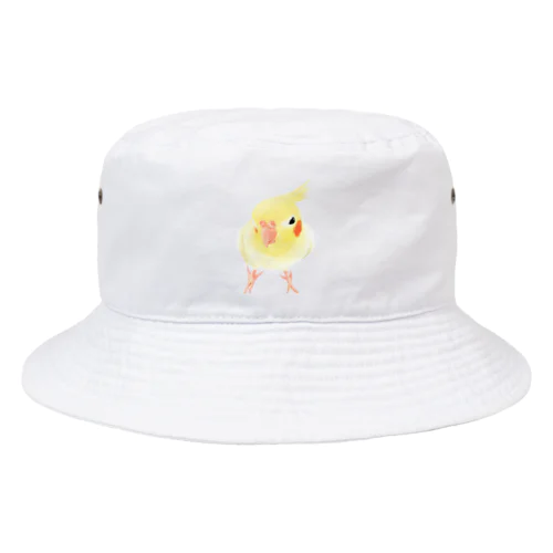 オカメインコ　おすましルチノー【まめるりはことり】 Bucket Hat