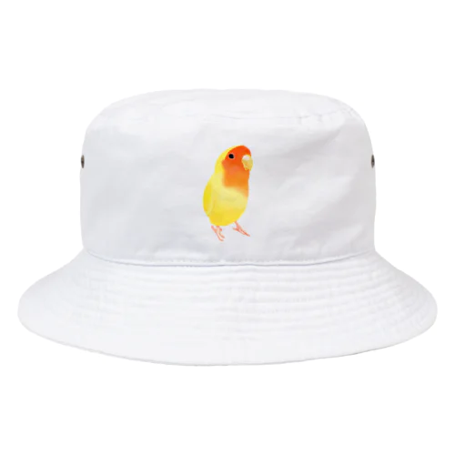 コザクラインコ　おすましルチノー【まめるりはことり】 Bucket Hat