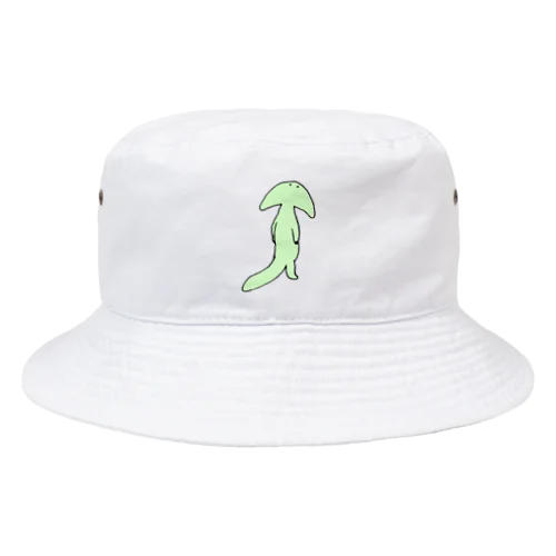 ディプロカウルス Bucket Hat