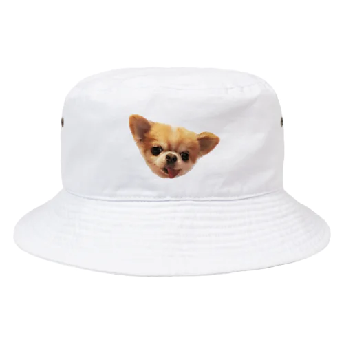 i am hamm !! Bucket Hat