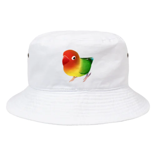 ボタンインコ　おすましルリゴシボタンインコ【まめるりはことり】 Bucket Hat