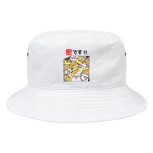 密です！オカメインコさん【まめるりはことり】 Bucket Hat