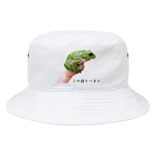 この指とまれ（モリアオガエル） Bucket Hat