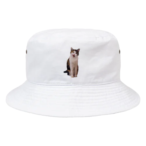 みけねこちぃちゃん Bucket Hat