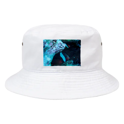 海の世界 Bucket Hat