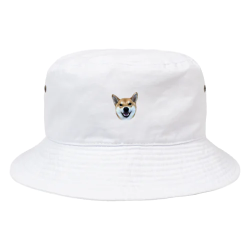 柴犬 かんたろう(実写) Bucket Hat