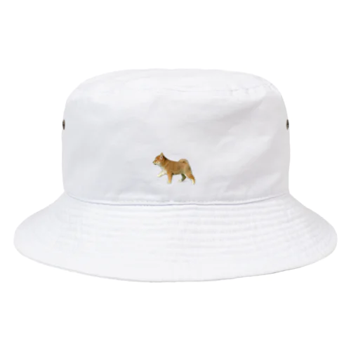 柴犬 かんたろうミニ Bucket Hat