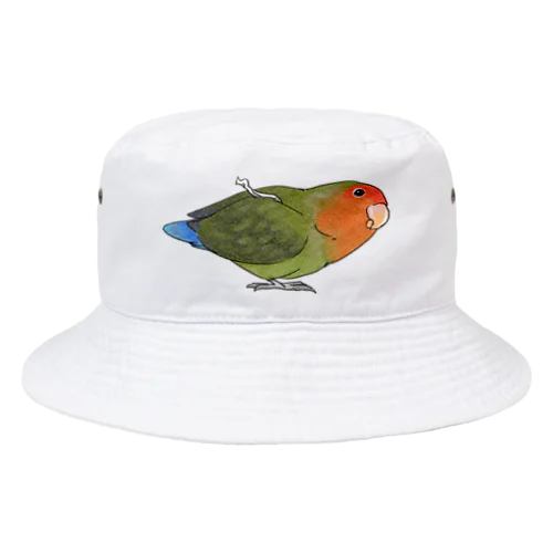 おすましコザクラインコ　きなこちゃん【まめるりはことり】 Bucket Hat