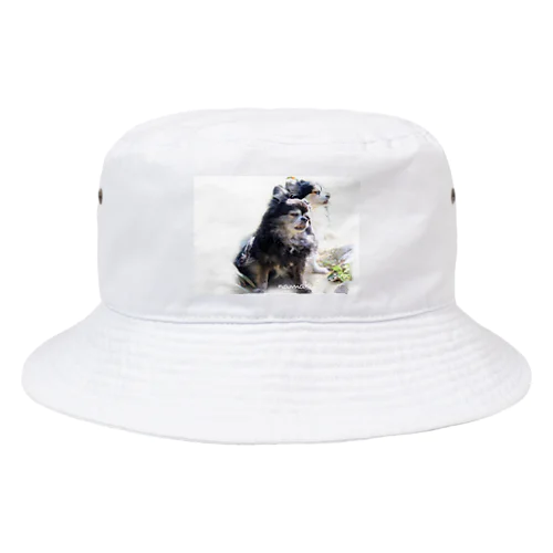 namakeinnu Bucket Hat