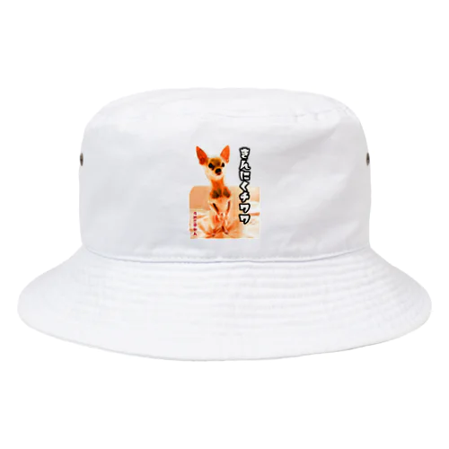 筋肉チワワスケルトン Bucket Hat