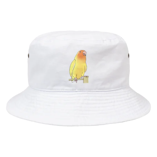 得意げ可愛い　コザクラインコちゃん【まめるりはことり】 Bucket Hat