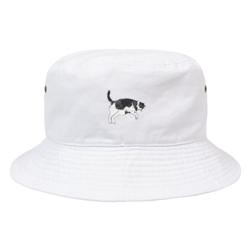 ハチワレくうちゃんIV Bucket Hat