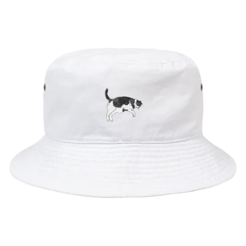 ハチワレくうちゃんIV Bucket Hat