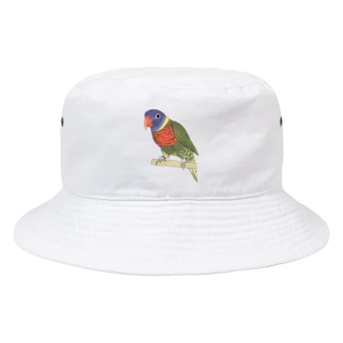 色合いが綺麗なゴシキセイガイインコちゃん【まめるりはことり】 Bucket Hat