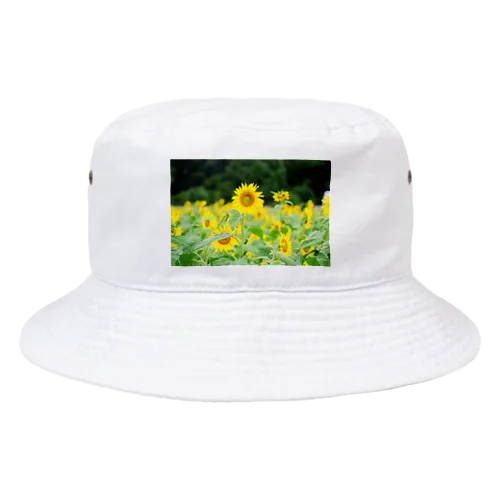 ひまわりちゃん Bucket Hat