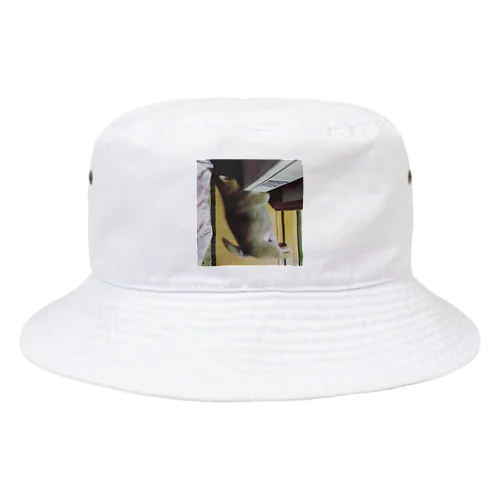 こはるちゃんです。 Bucket Hat