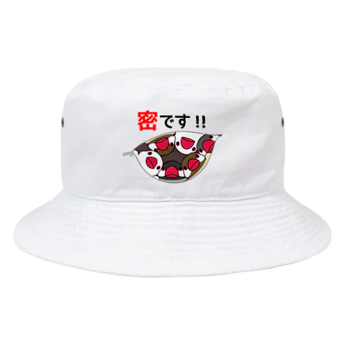 密です！文鳥さん【まめるりはことり】 Bucket Hat