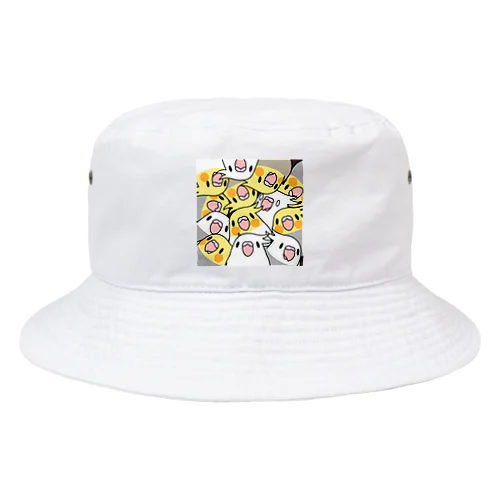 みっちりむっちり過密オカメインコさん【まめるりはことり】 Bucket Hat