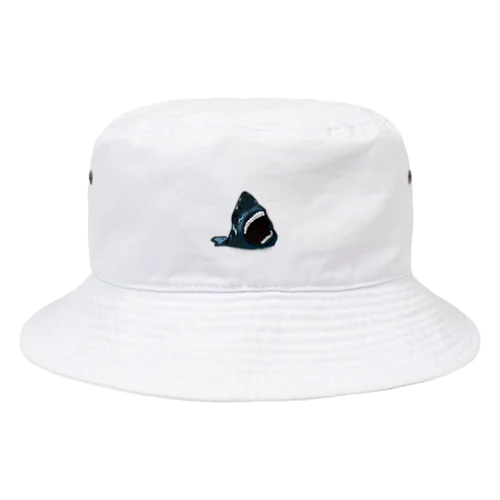 牙 矯正中  サメ Bucket Hat