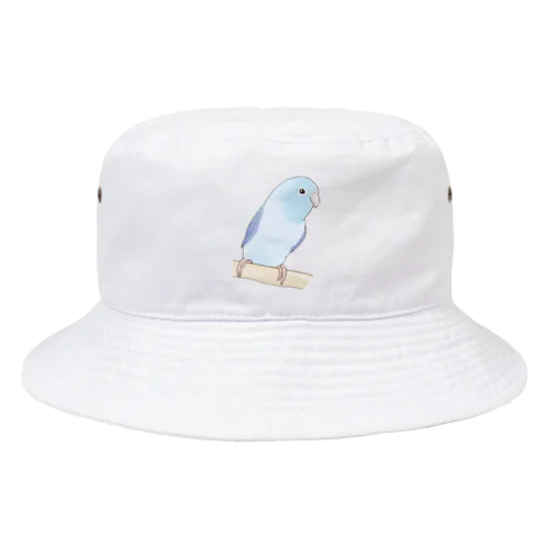 おしゃまなマメルリハのるりちゃん【まめるりはことり】 Bucket Hat