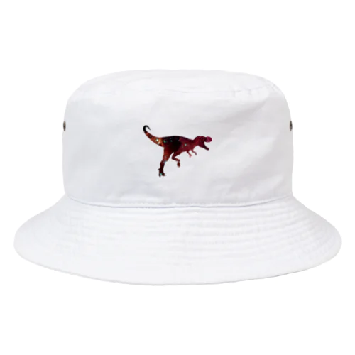 Space T-REX Bucket Hat