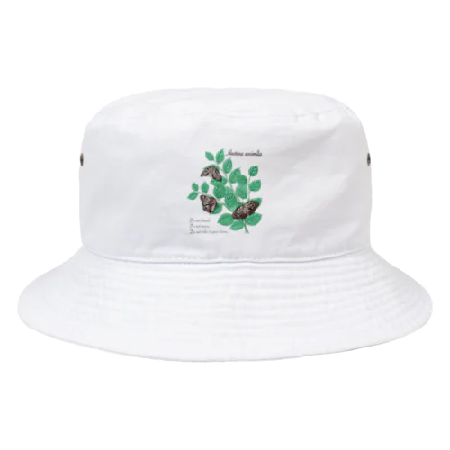 アカボシゴマダラとエノキ Bucket Hat