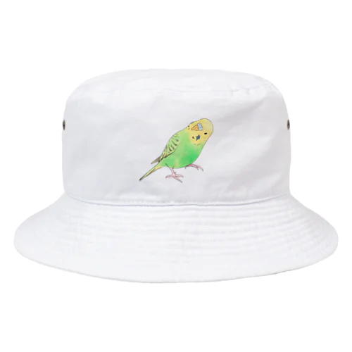 首傾げセキセイインコ　ピーちゃん【まめるりはことり】 Bucket Hat