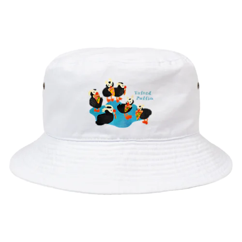 エトピリカ便 Bucket Hat