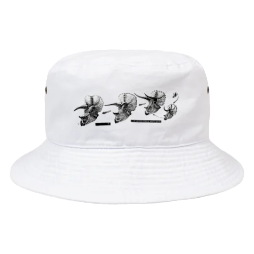Triceratops prorsus growth series Bucket Hat