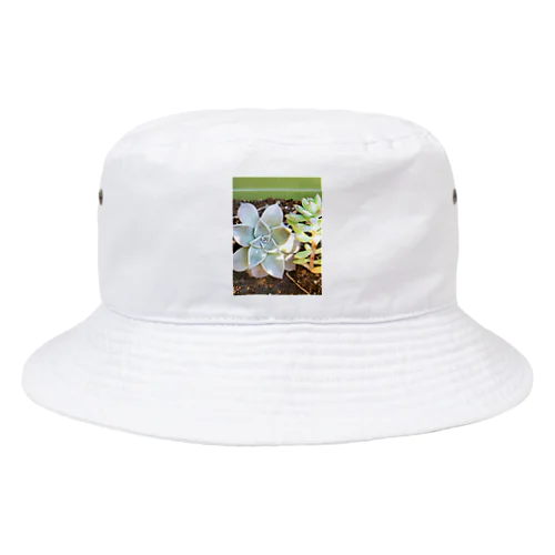 多肉ちゃんハット Bucket Hat