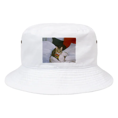 紅白猫 Bucket Hat