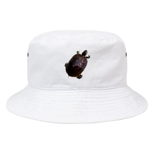 【ミシシッピ アカミミガメ】(♂)の名前イッチー グッズ Bucket Hat