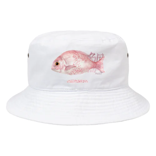 TAI Bucket Hat