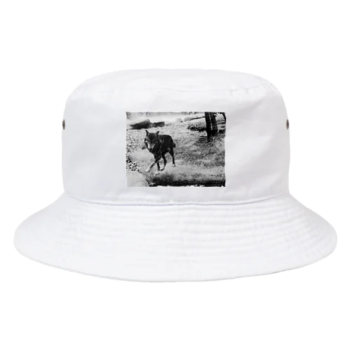 Wolf Bucket Hat