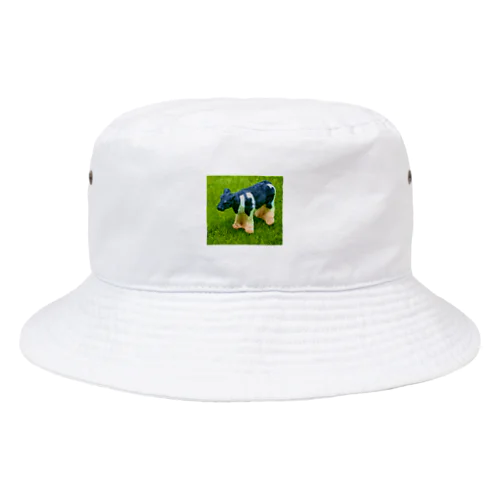 COW-2021 Bucket Hat