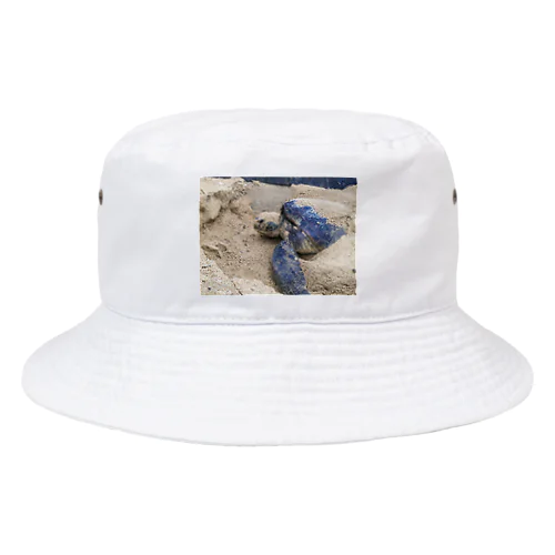 産卵　ウミガメ Bucket Hat