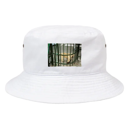 犬 Bucket Hat