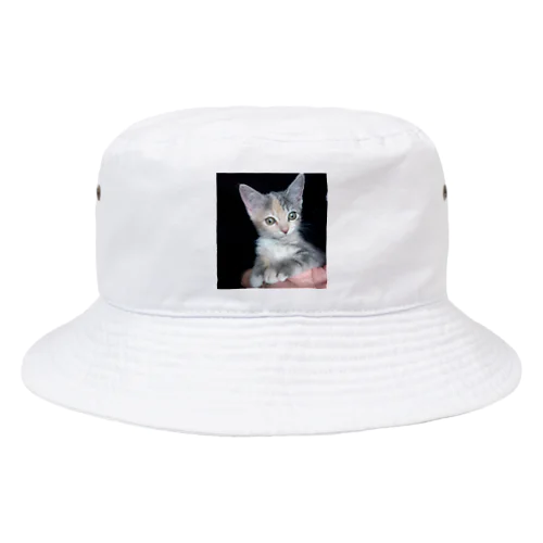 alice01 Bucket Hat