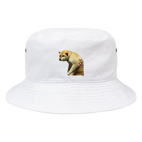 微妙な表情のもふもふ柴犬しばいぬ Bucket Hat