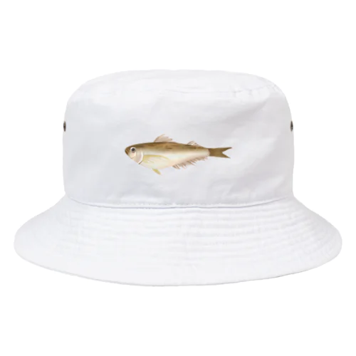 ハタハタ Bucket Hat