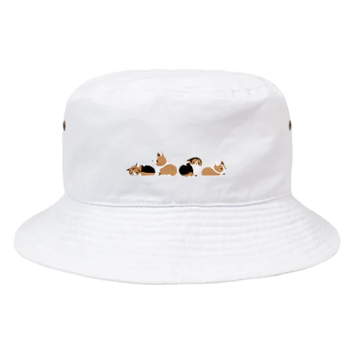 Corgis(コーギー) Bucket Hat